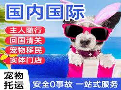 承德机场快递国际宠物托运 【国